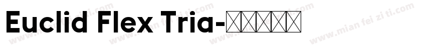 Euclid Flex Tria字体转换